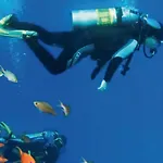 Cod. 456 Taunus Vacanze * מרצ'לי